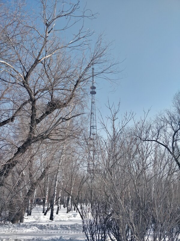 Город Караганда. - Андрей Хлопонин
