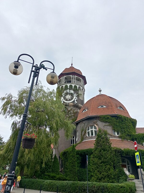 Светлогорск - Юра Светлаков