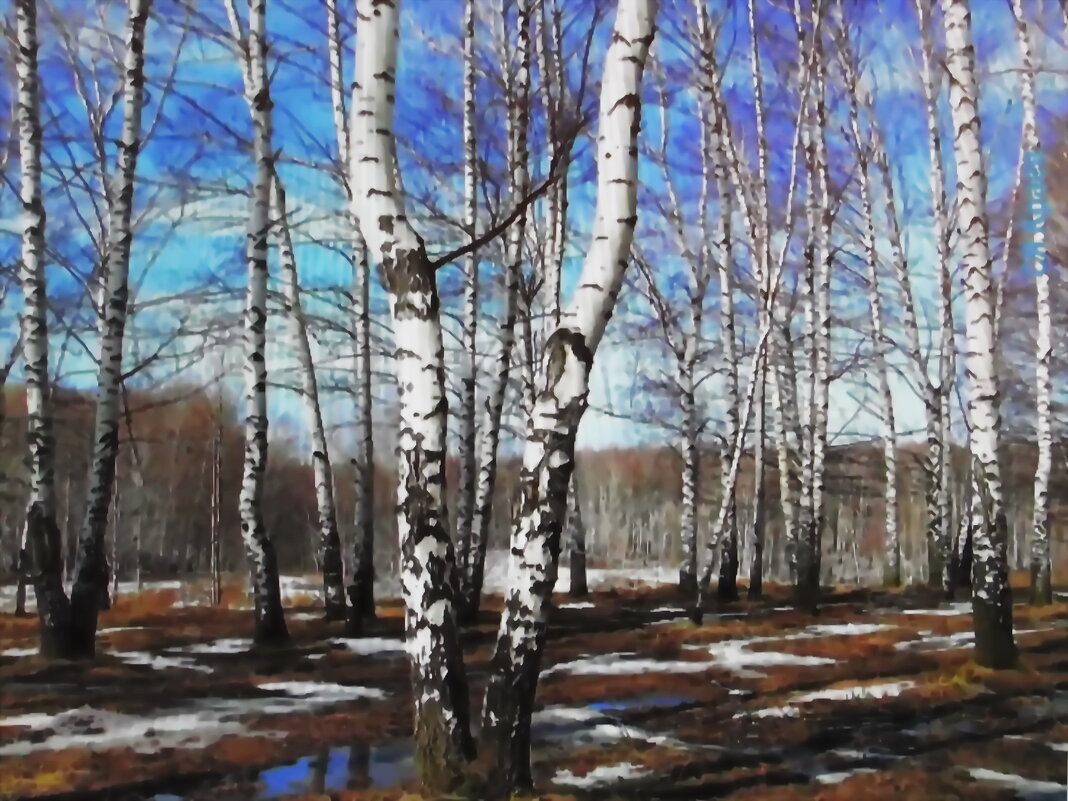 Лесная красота - Людмила Смородинская Лесная красота - Людмила Смородинская