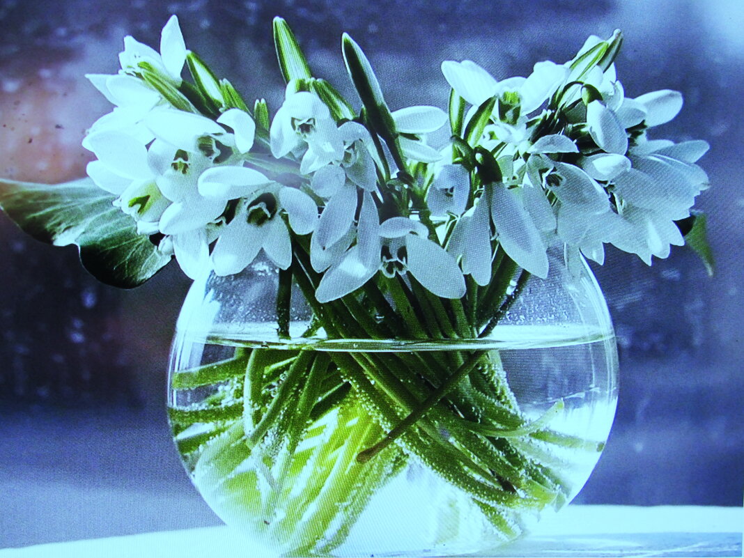 Нежный букетик - Людмила Смородинская Нежный букетик - Людмила Смородинская