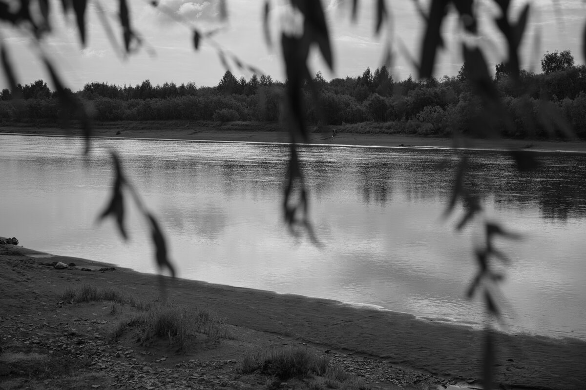 Название отсутствует - Денис Безногов Название отсутствует - Денис Безногов