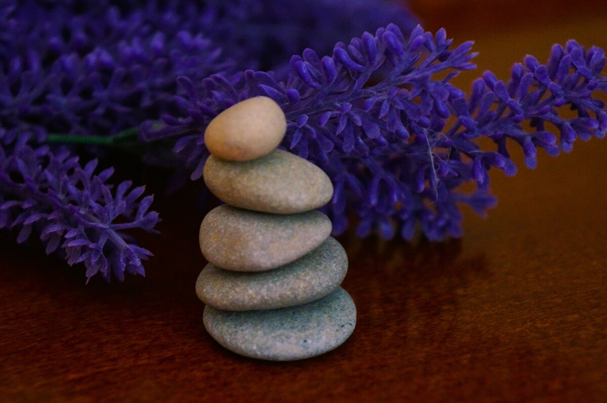 * * * - Алёна Савина * * * - Алёна Савина