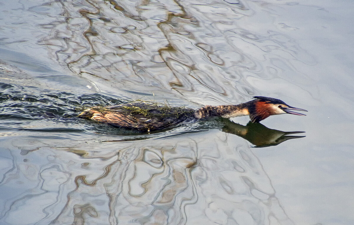 В поиске - Андроник Александр В поиске - Андроник Александр
