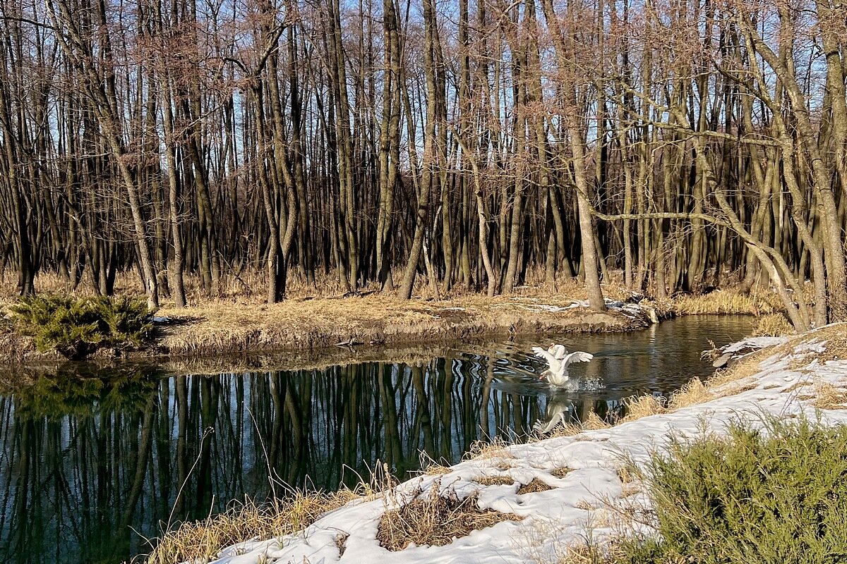 Весне на встречу - Сеня Белгородский Весне на встречу - Сеня Белгородский