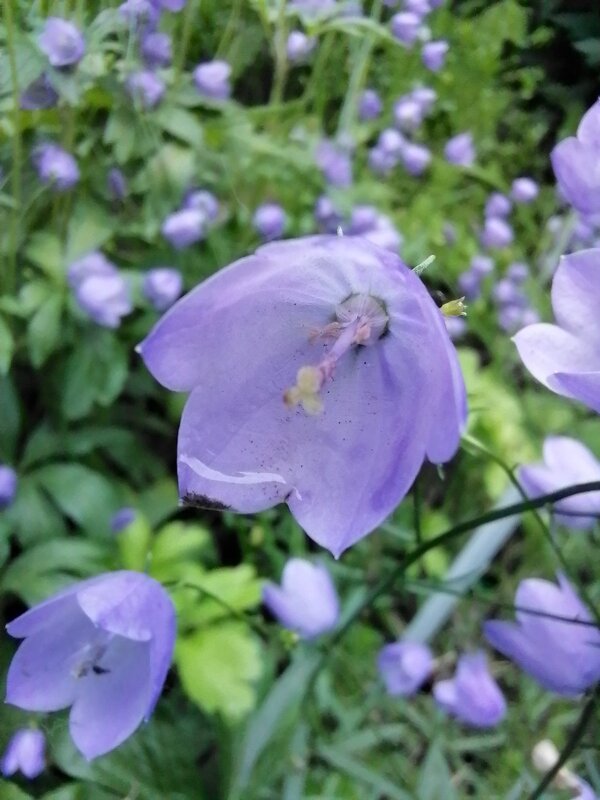 ,,, - Сергей Тимоновский