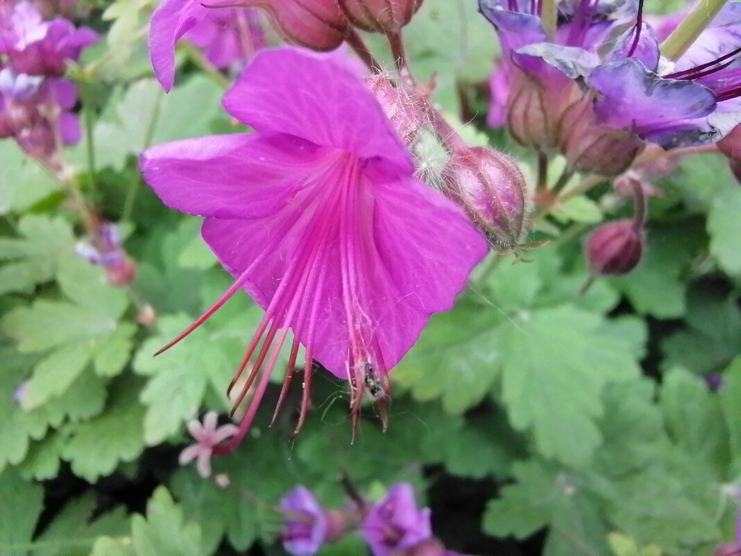 ,,, - Сергей Тимоновский ,,, - Сергей Тимоновский