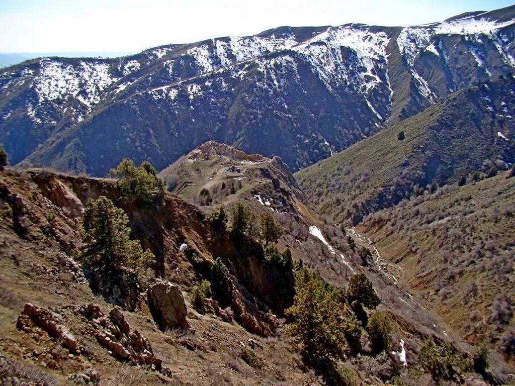 ГОРНАЯ ПРОГУЛКА. - Виктор Осипчук