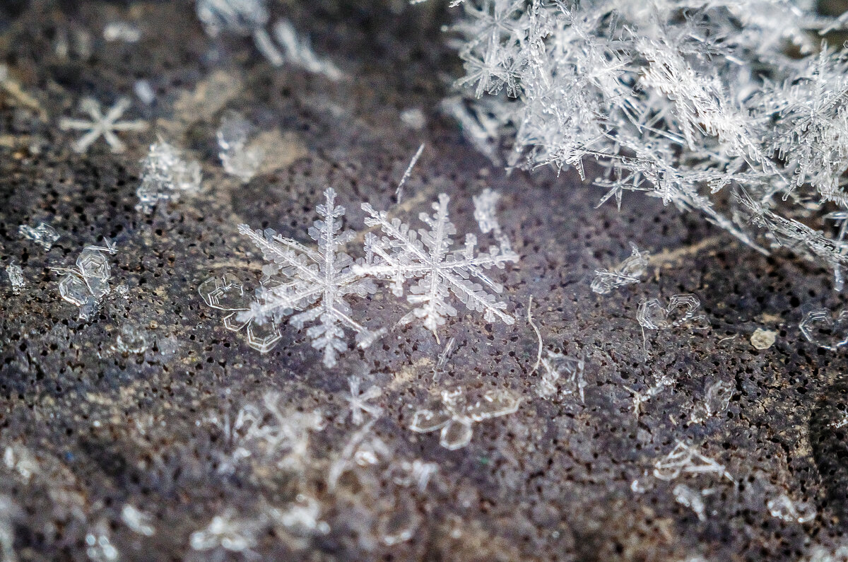 Последние... - Андрей Щетинин
