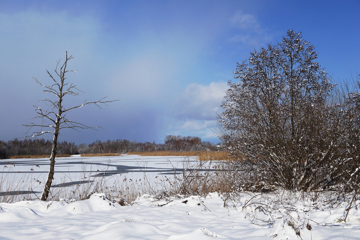 В окрестностях Калининграда - Рита Симонова В окрестностях Калининграда - Рита Симонова
