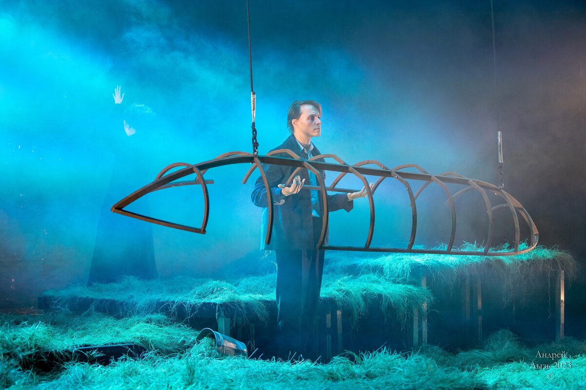 «Чайка» Московский театр «Школа драматического искусства» - Андрей Lyz