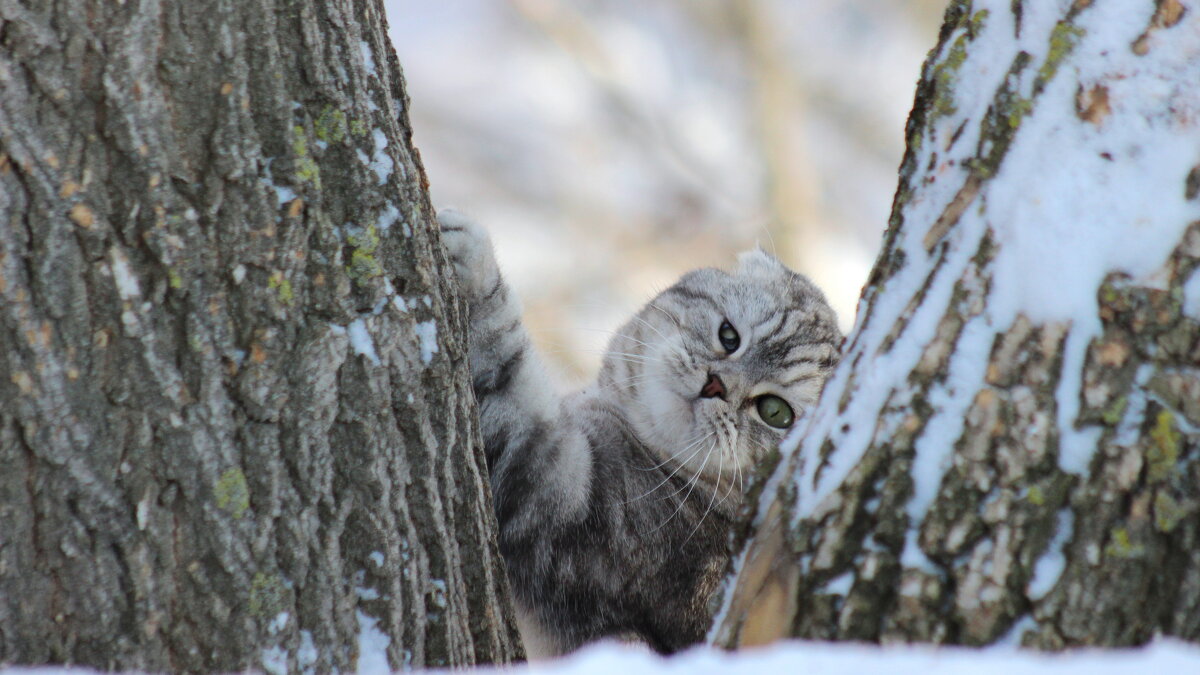 Отвлекаешь от охоты! - Игорь Родионов