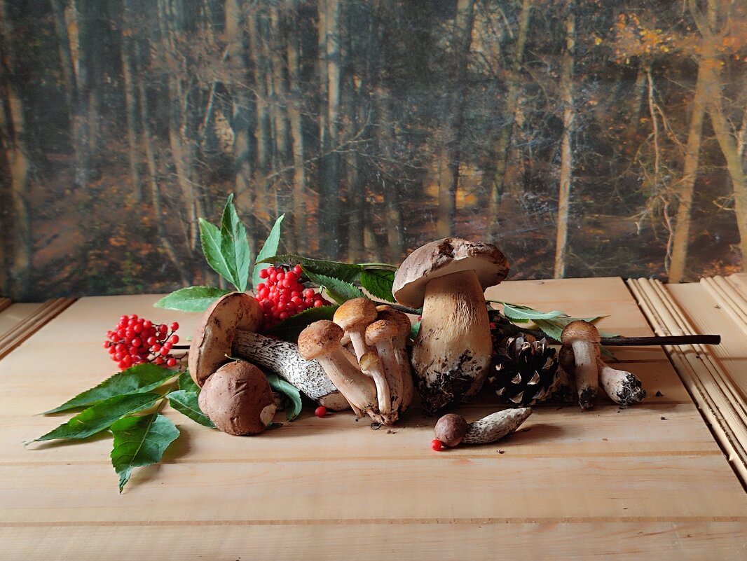 Про грибочки - Валентина Богатко 