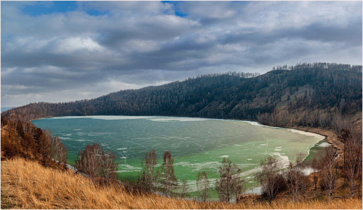 **** - Алексей Мезенцев