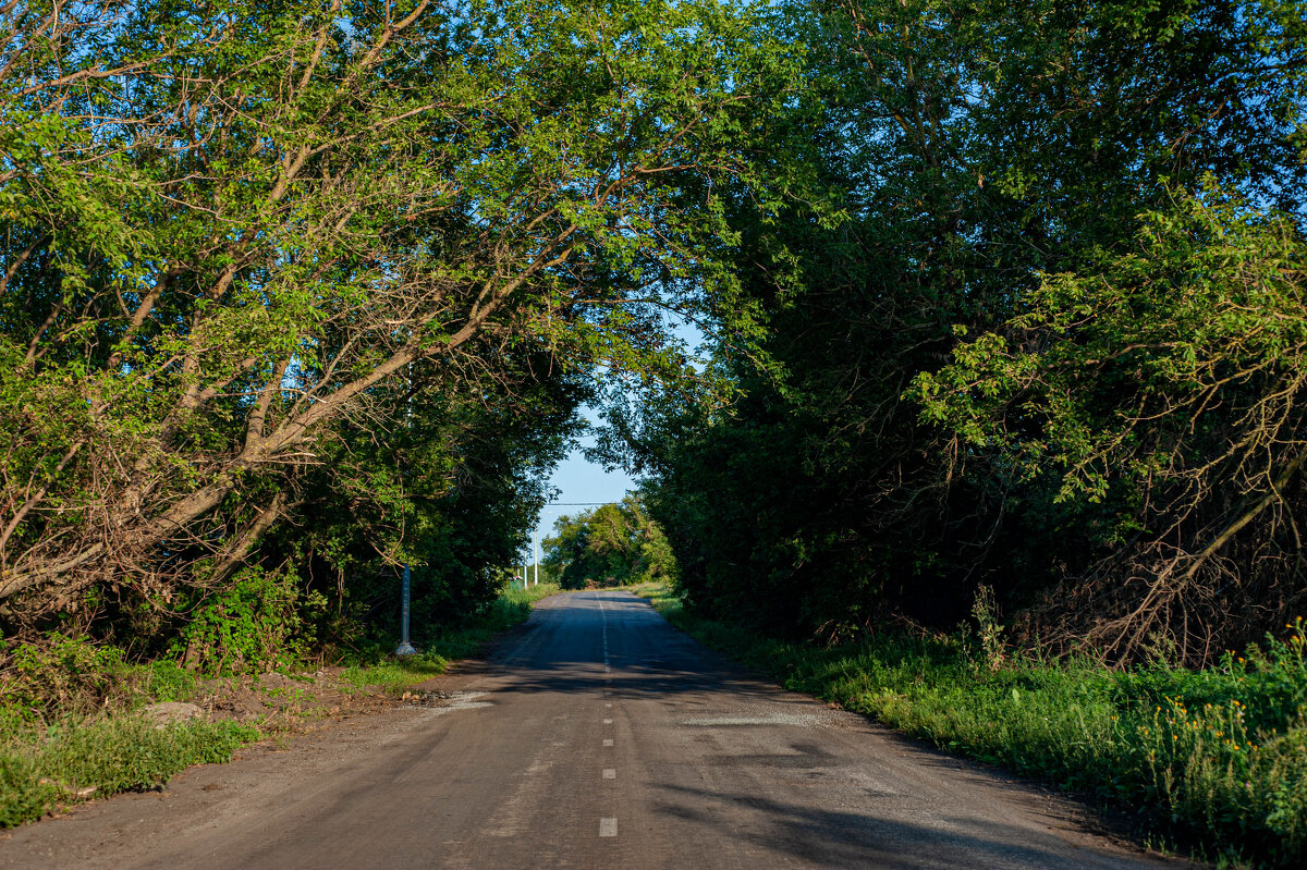 ДОРОГА В ЛЕТО - Александр Леонов ДОРОГА В ЛЕТО - Александр Леонов