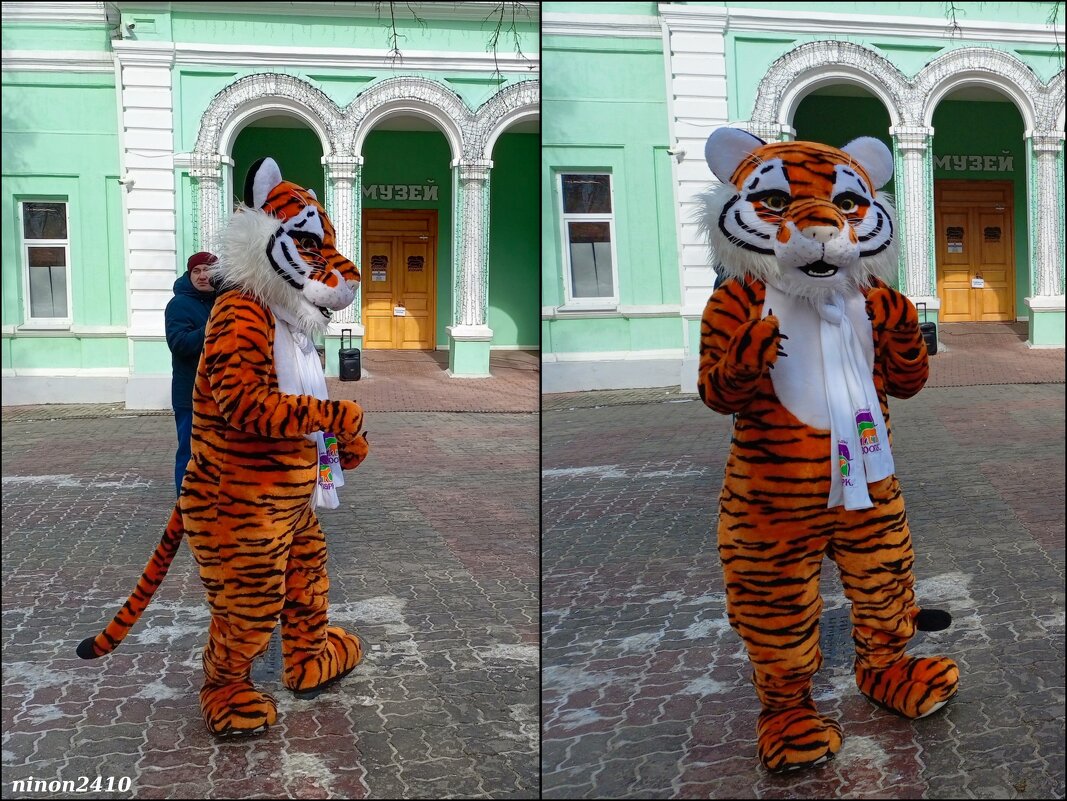 В ростовском зоопарке - Нина Бутко