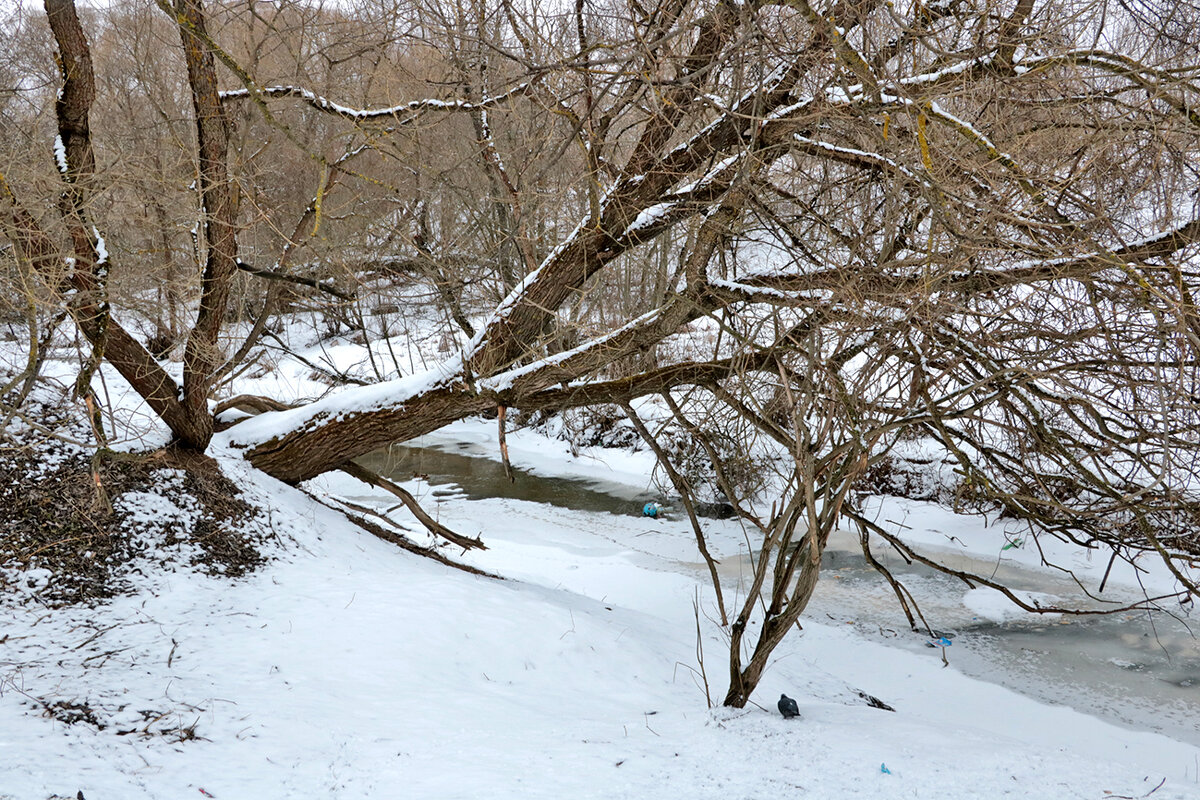 2 марта - Светлана 2 марта - Светлана