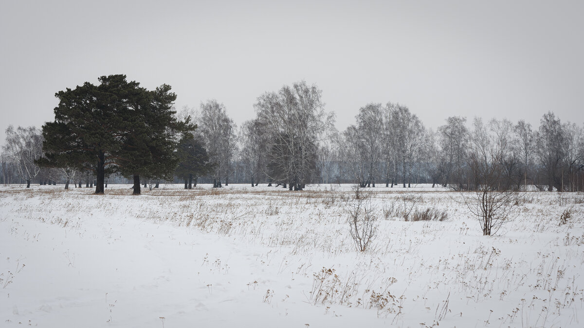 Пасмурно,но не скучно.... - Вадим Басов Пасмурно,но не скучно.... - Вадим Басов