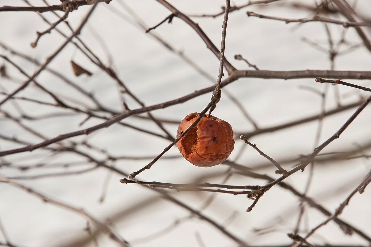 Долгожитель - Валерий Иванович Долгожитель - Валерий Иванович