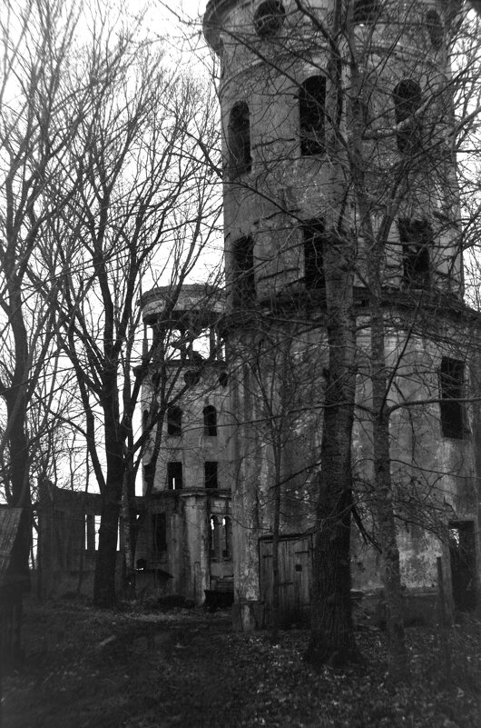 Башни на месте разрушенного дворца помещика Брянчанинова - Олег Зоркий