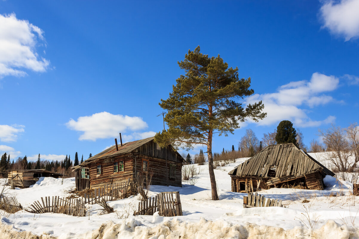 Покинутый мир - Сергей Борисович 
