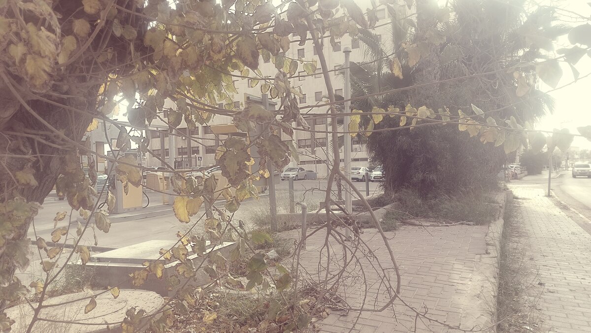 12  КЛОС (655) - CLOSE WAYS ALL