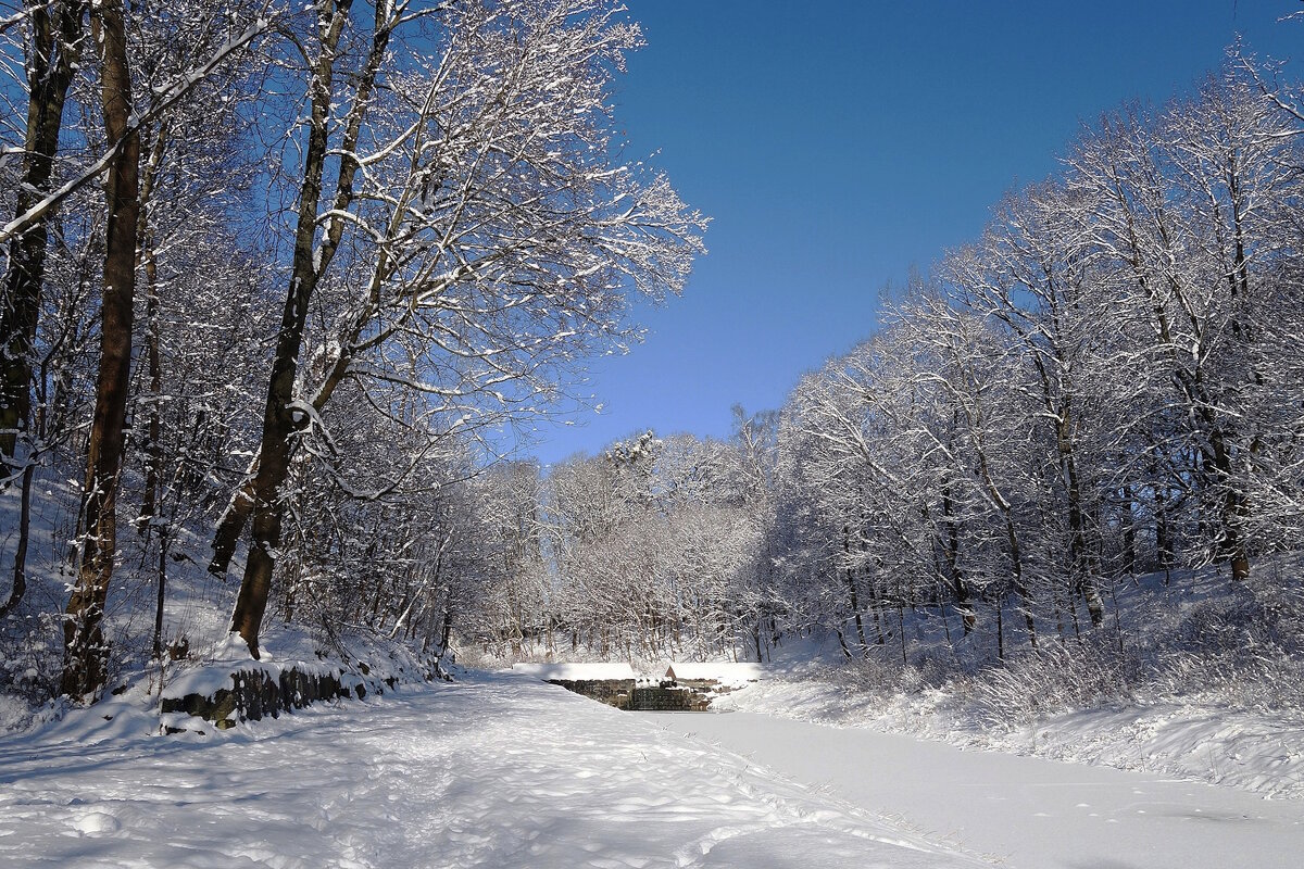 Февраль - Рита Симонова Февраль - Рита Симонова