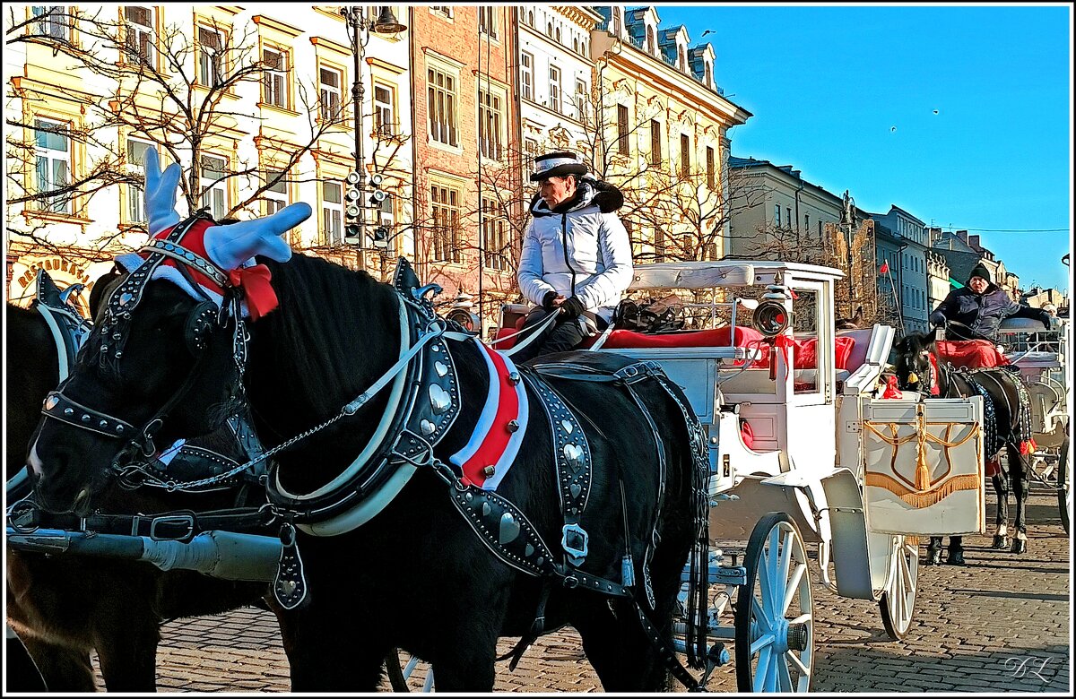 Kucher - Denis Lipatov