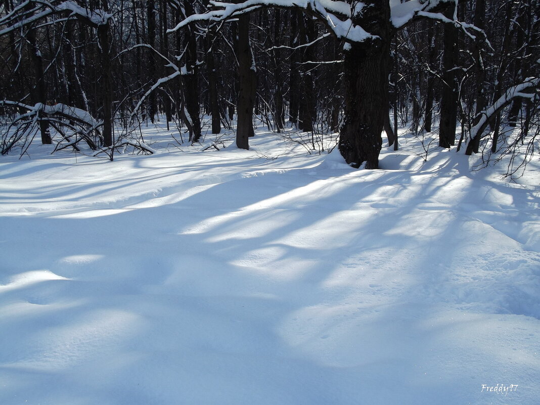 Весенние тени - Freddy 97