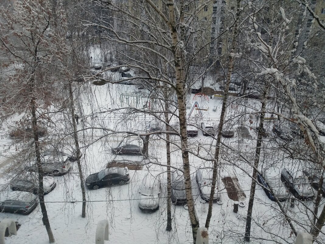 Вид из окна утром 3-го марта - Galina Solovova Вид из окна утром 3-го марта - Galina Solovova