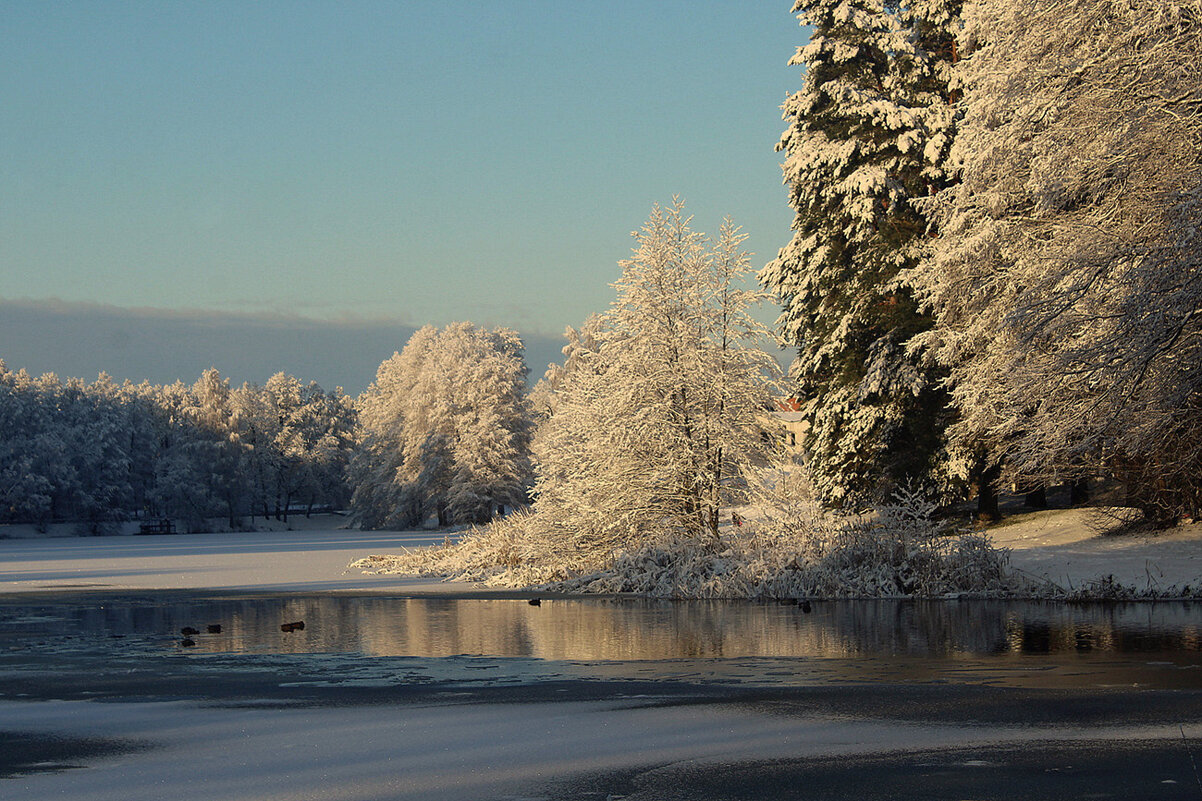 Мороз и солнце - Aleksandr Gal Мороз и солнце - Aleksandr Gal