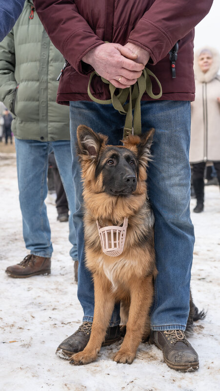 на празднике - IRINA 