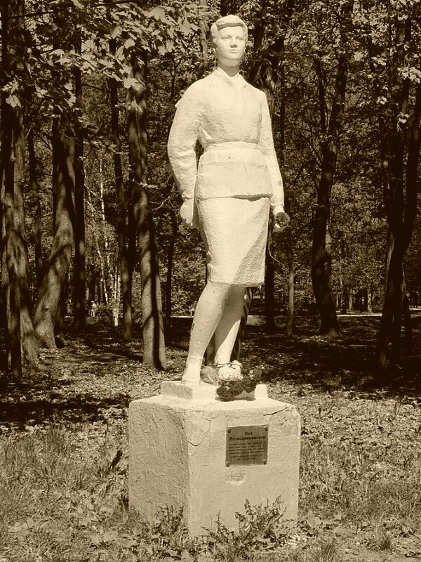 Цветы народной героине - Дмитрий Никитин