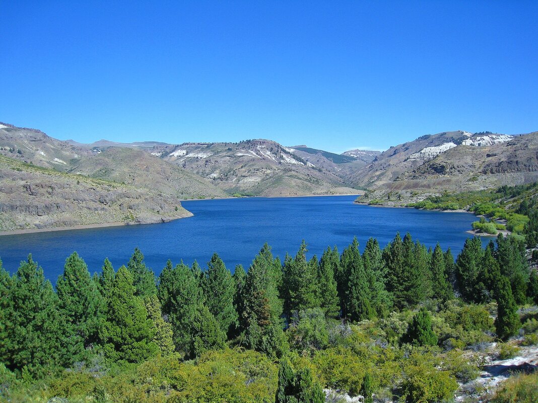 Река Лимай, Аргентина. - unix (Илья Утропов)