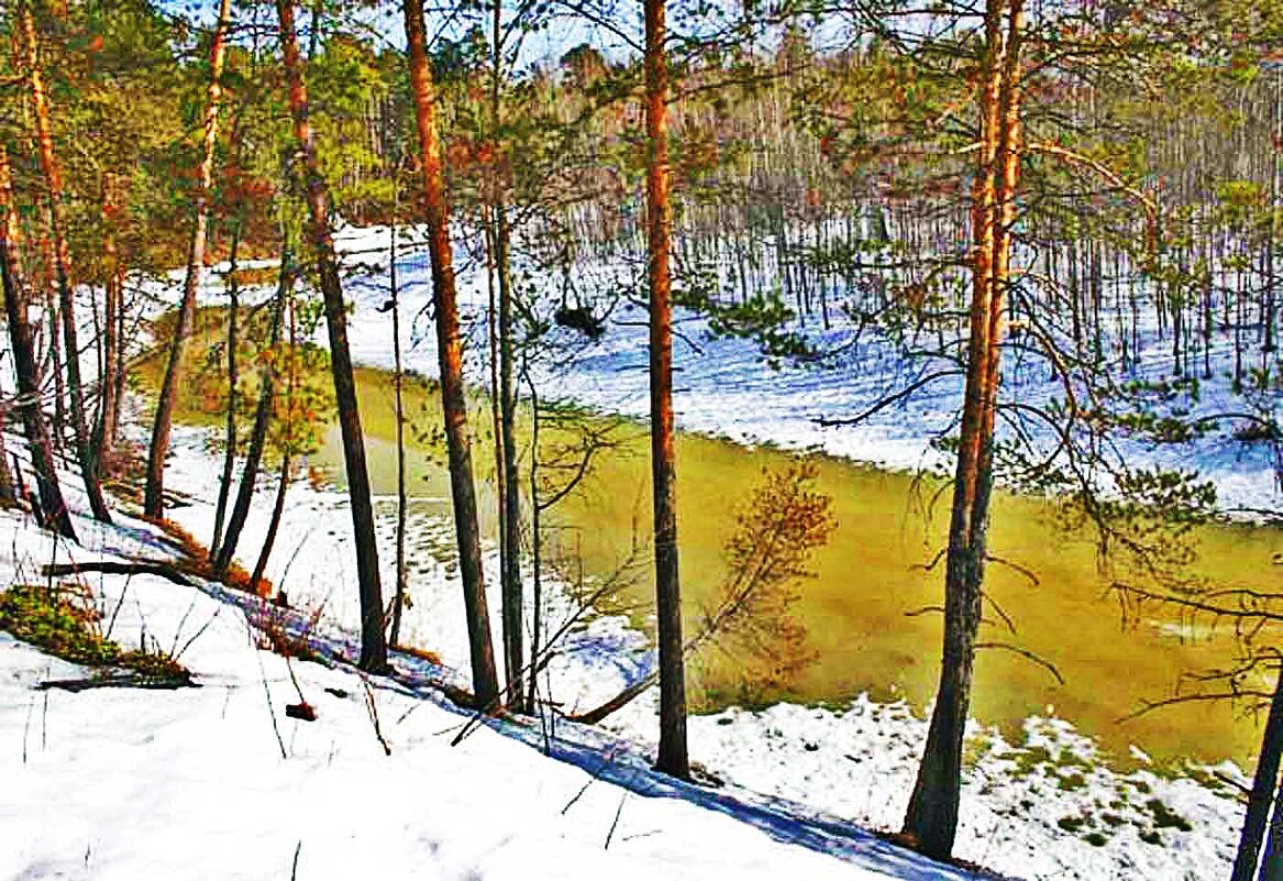 Весенне пробуждение протоки Коим! - Владимир Весенне пробуждение протоки Коим! - Владимир