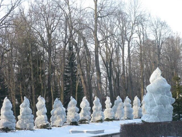 Гарем на зимней прогулке - Надежда 