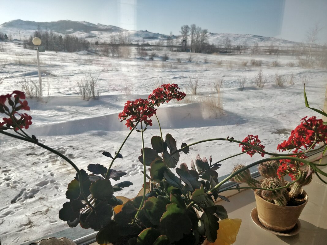 А за окном ,зима... - Андрей Хлопонин А за окном ,зима... - Андрей Хлопонин