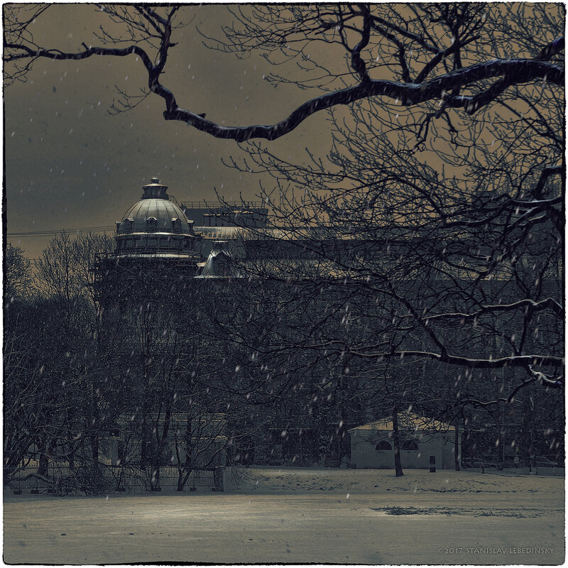 My magic Petersburg_02458_Пруд в Таврическом саду - Станислав Лебединский