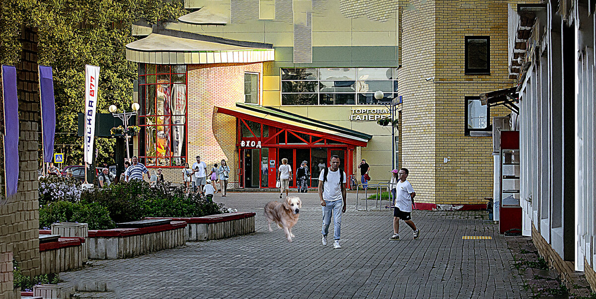 Деловая обстановка - Владимир Кроливец Деловая обстановка - Владимир Кроливец