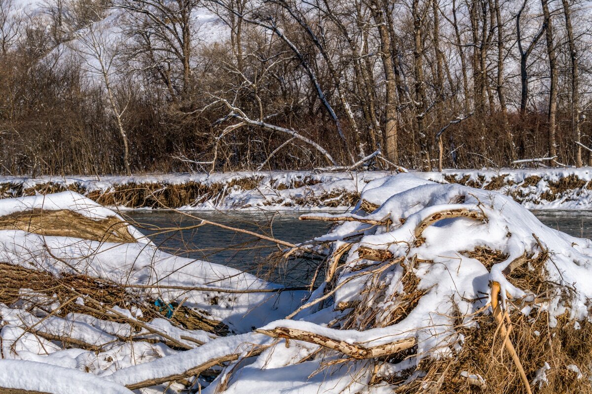 13801 - Игорь Сикорский