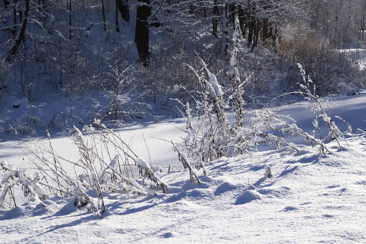 Февральский этюд - Рита Симонова