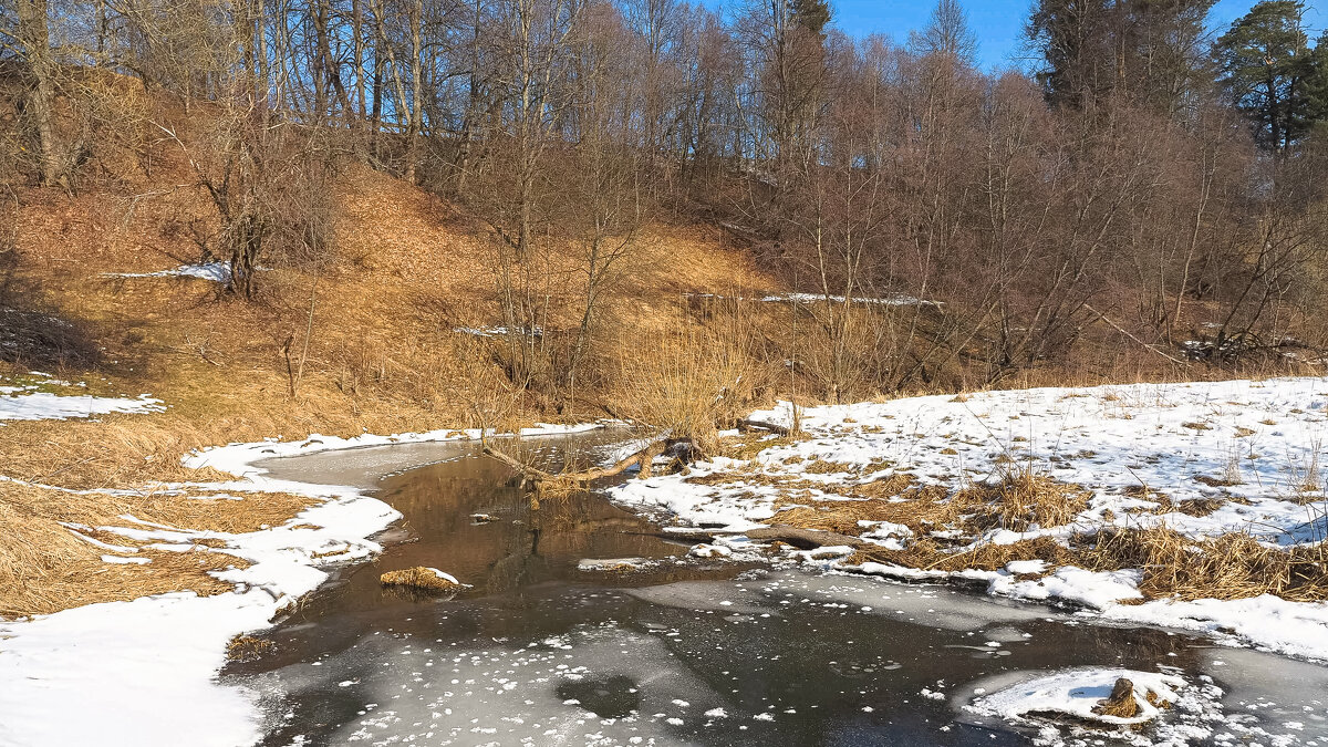 Весенние - юрий поляков