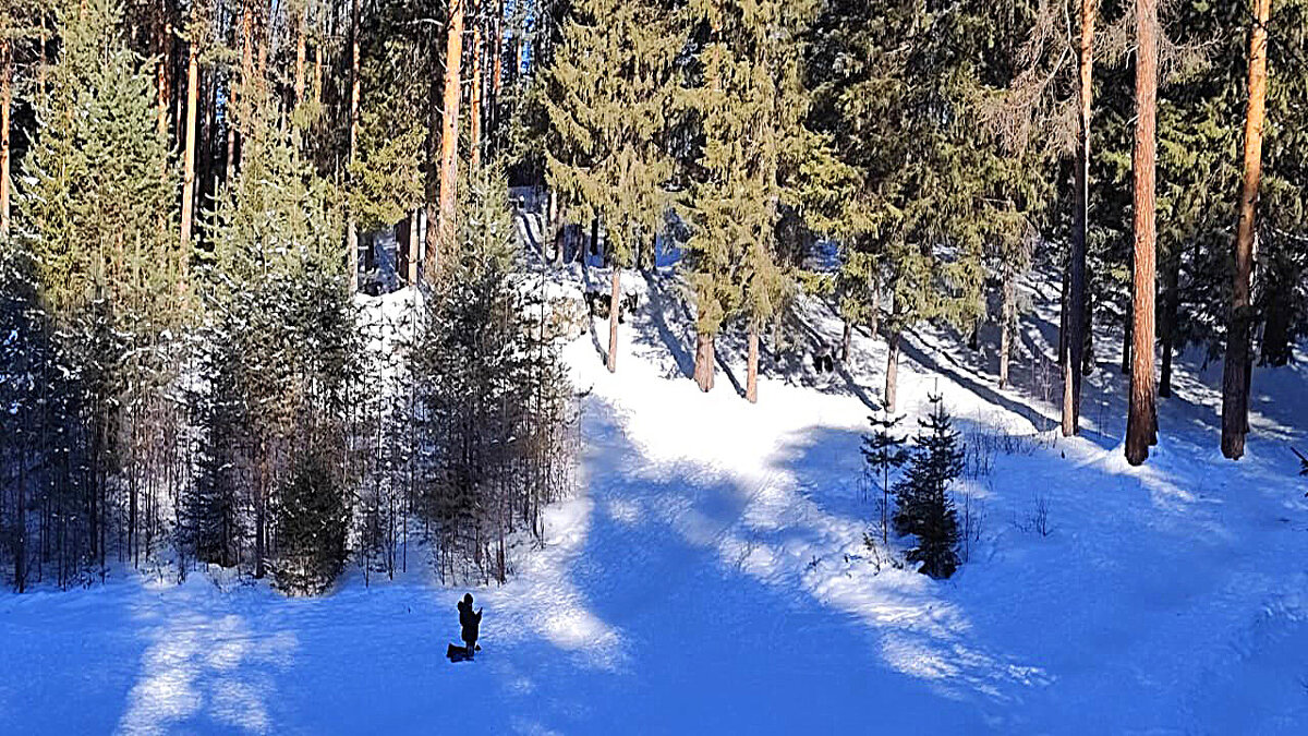 Фотограф - Алевтина 