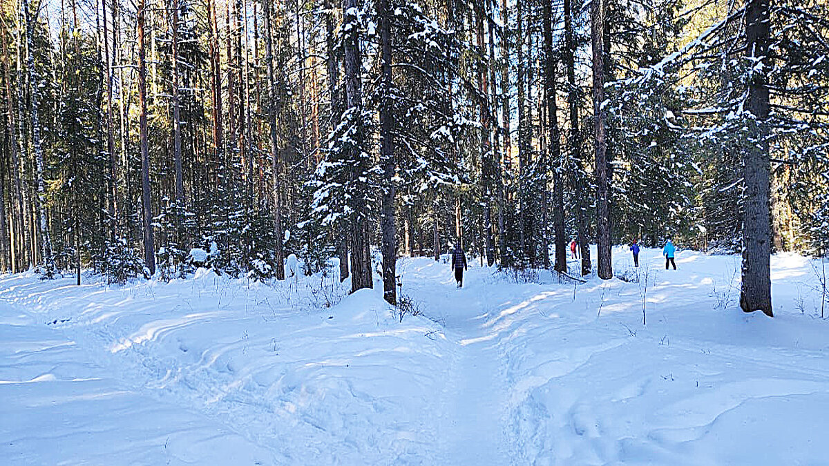 Кто пешком, кто на лыжах - Алевтина 