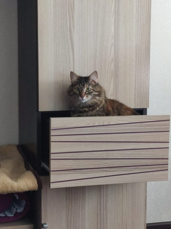 Хорошо устроился - Ирэн 