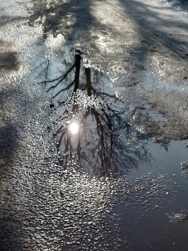 *** - Валентина Береснева