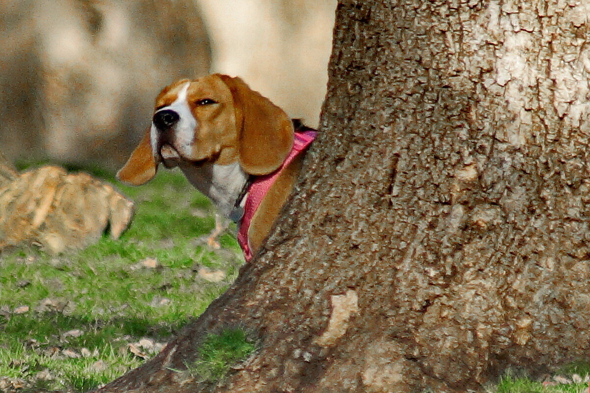 Я здесь хозяин... - Николай Саржанов Я здесь хозяин... - Николай Саржанов