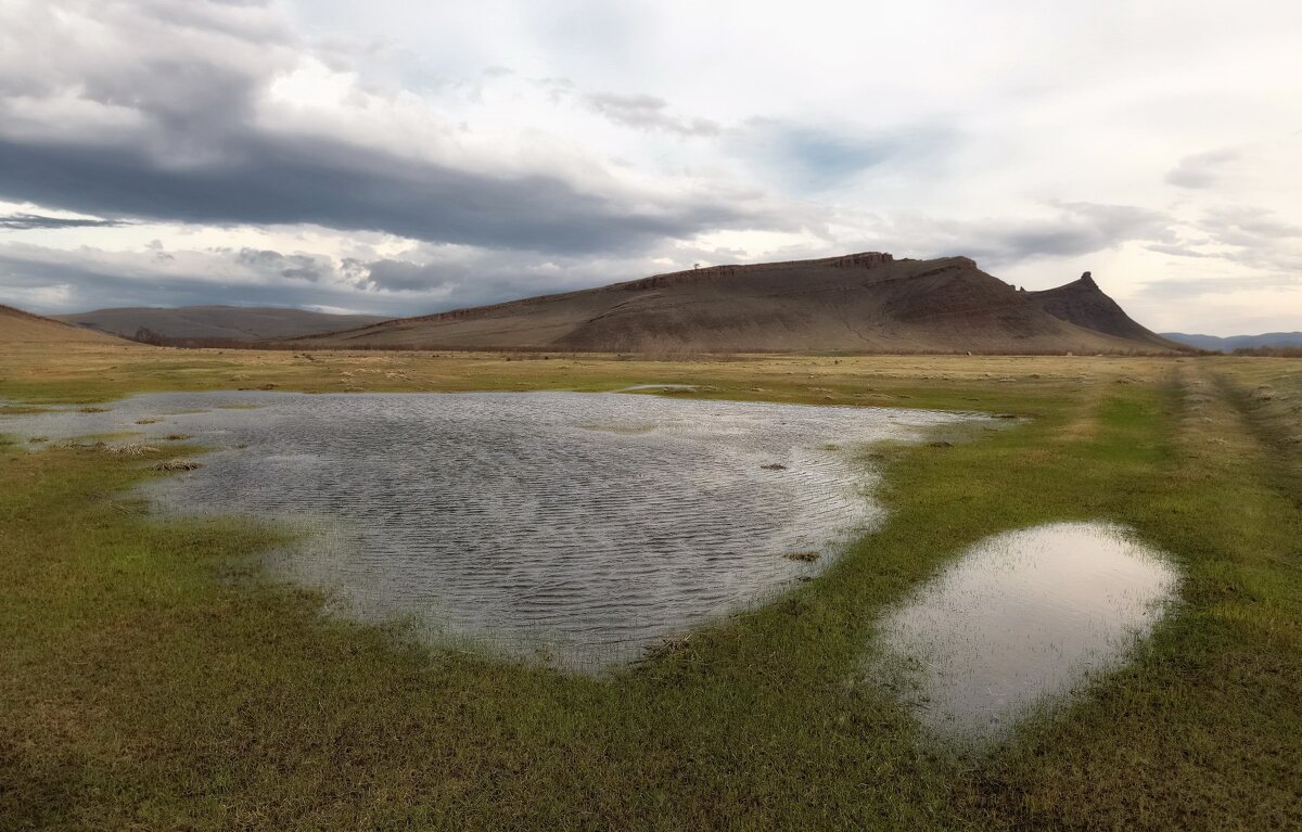 Снежники - Марина Фомина. Снежники - Марина Фомина.