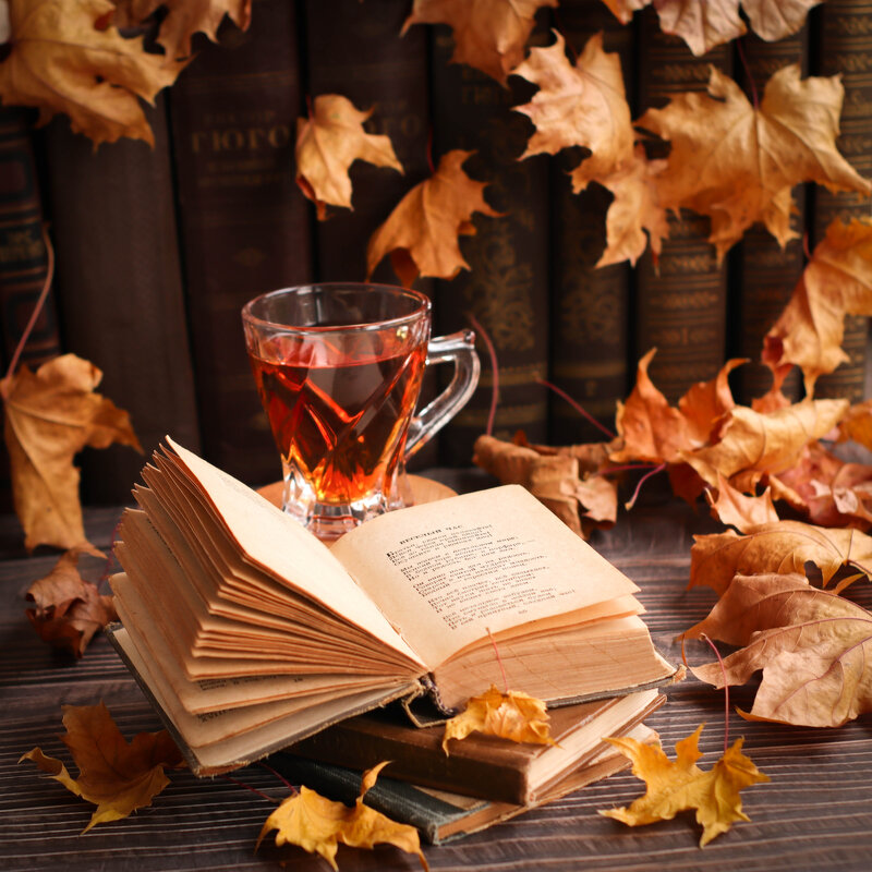 *** - Irene Irene *** - Irene Irene