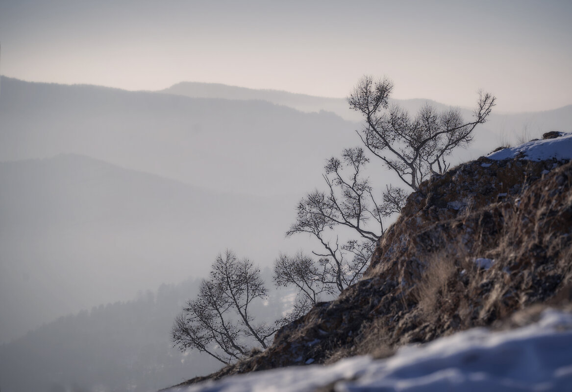 * - Александр Иванов * - Александр Иванов