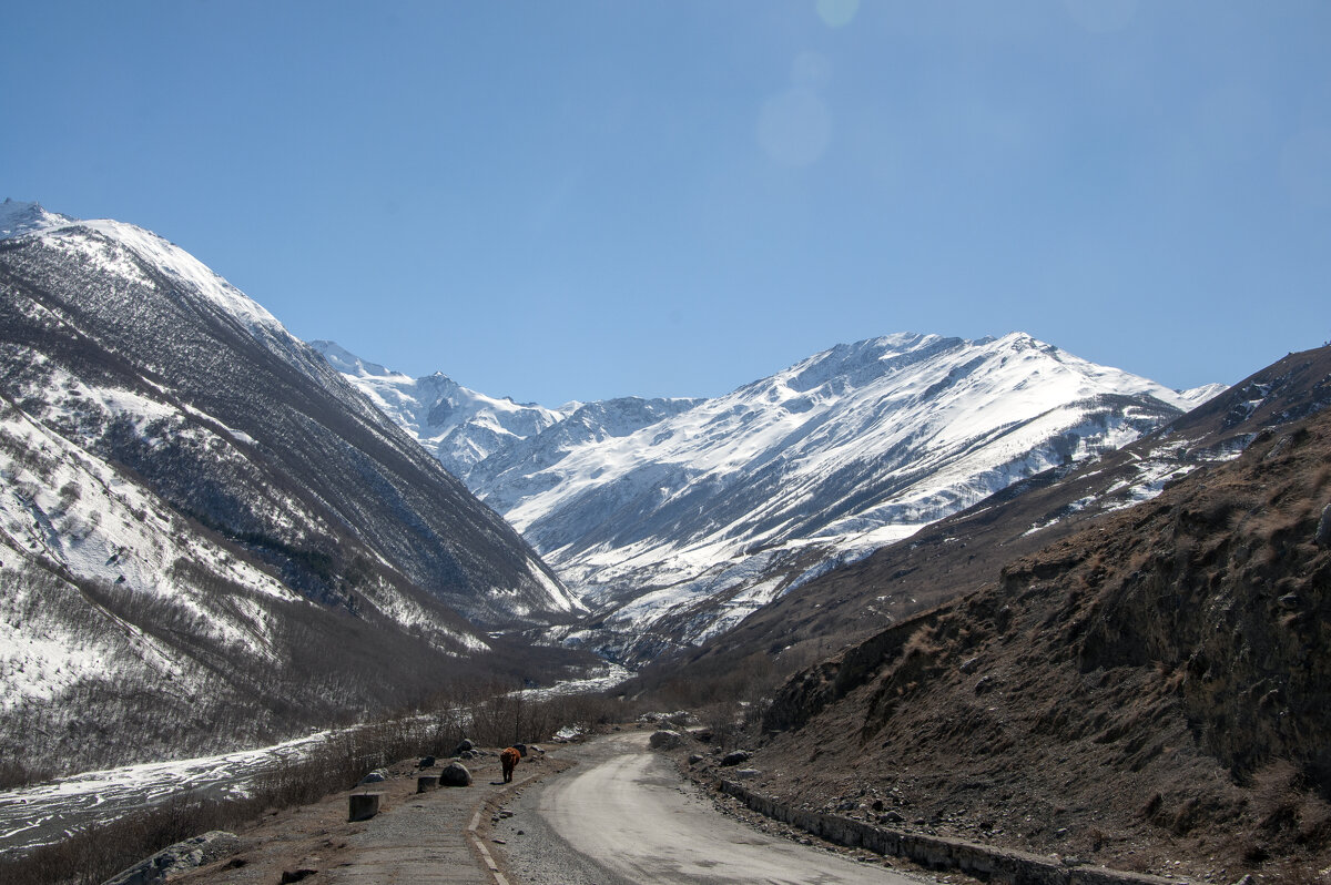 Горная Осетия. 2022 год - Gen Горная Осетия. 2022 год - Gen